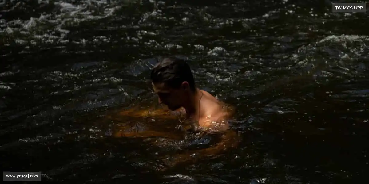 行业领先的理由